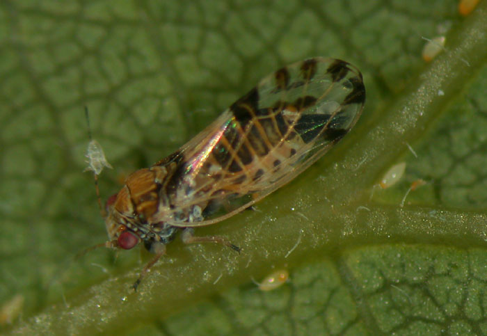cqs1212653807m.jpg
