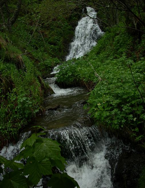 cqs1212683019q.JPG