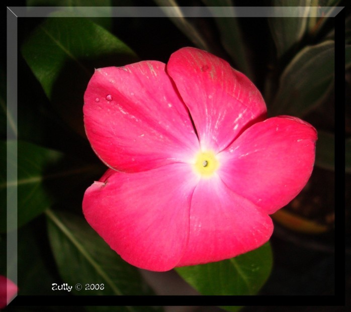 cqs1212793940g.jpg