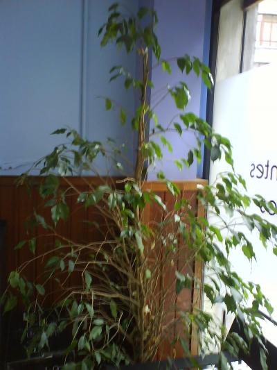 cqs1212883021x.JPG