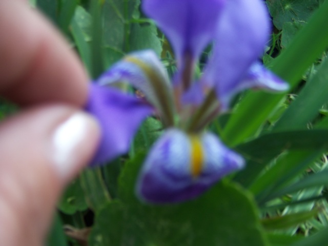 cqs1212891021g.JPG