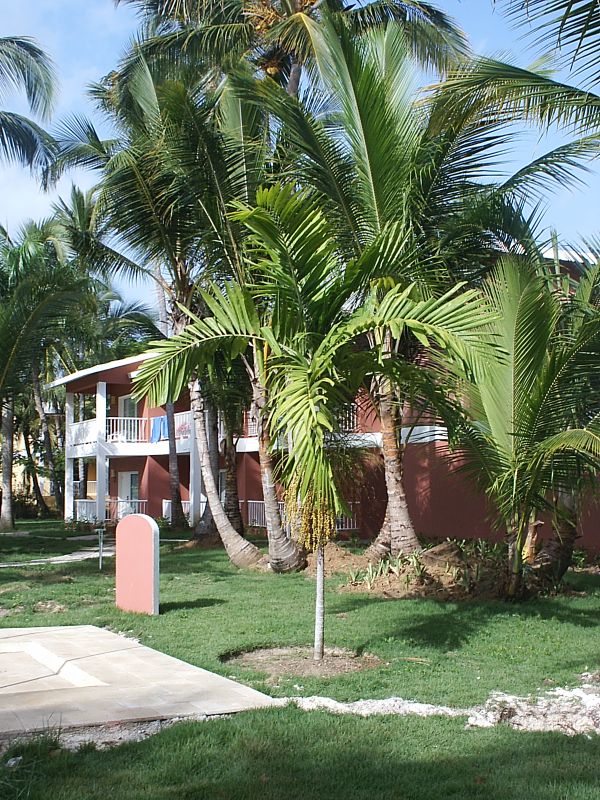 cqs1213051659a.jpg