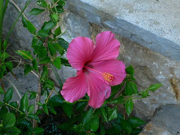 cqs1220203410r.JPG