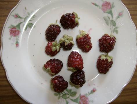 cqs1231155293f.jpg