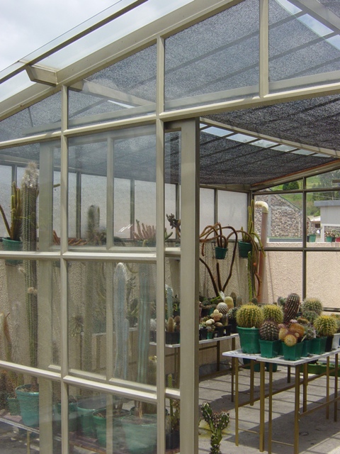 cqs1231367471y.jpg