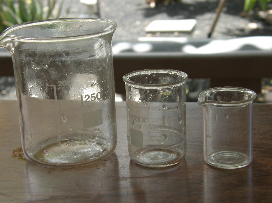 cqs1242098230h.JPG