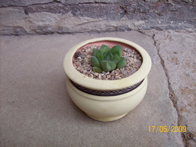 cqs1242592309s.jpg