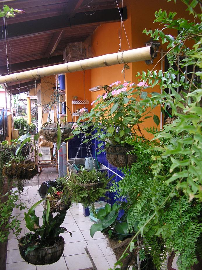 cqs1244255838w.JPG