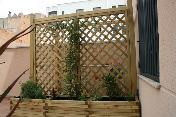 cqs1245024087a.jpg