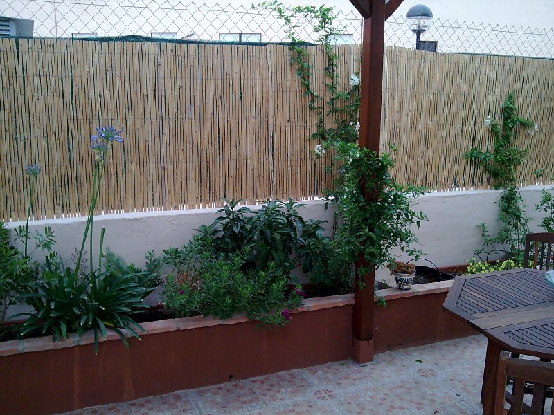 cqs1245455867h.jpg