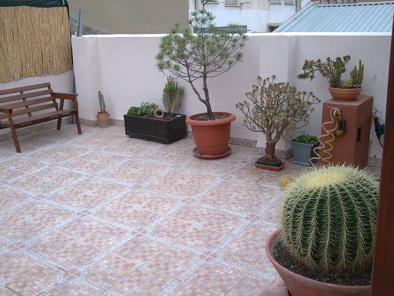 cqs1245456107x.jpg