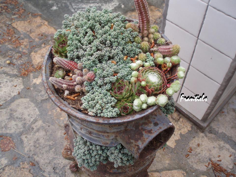 cqs1247550543y.jpg
