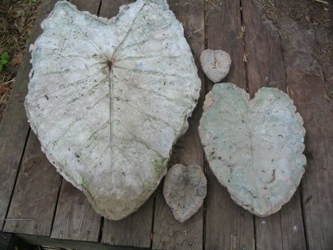 cqs1247551917s.jpg