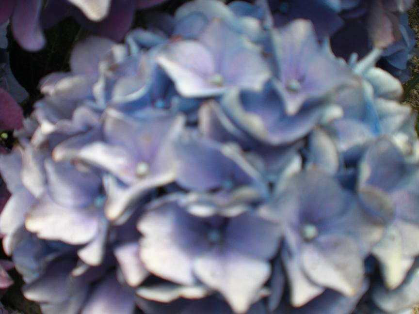 cqs1247712089f.JPG