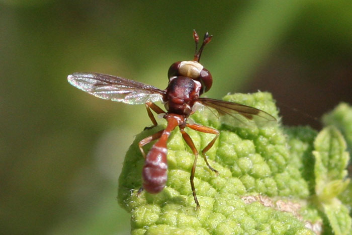 cqs1250647258o.jpg