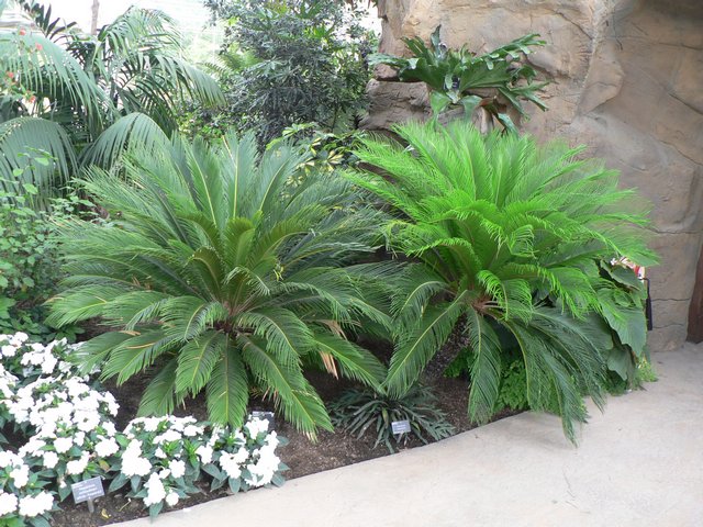 cqs1251840564r.jpg