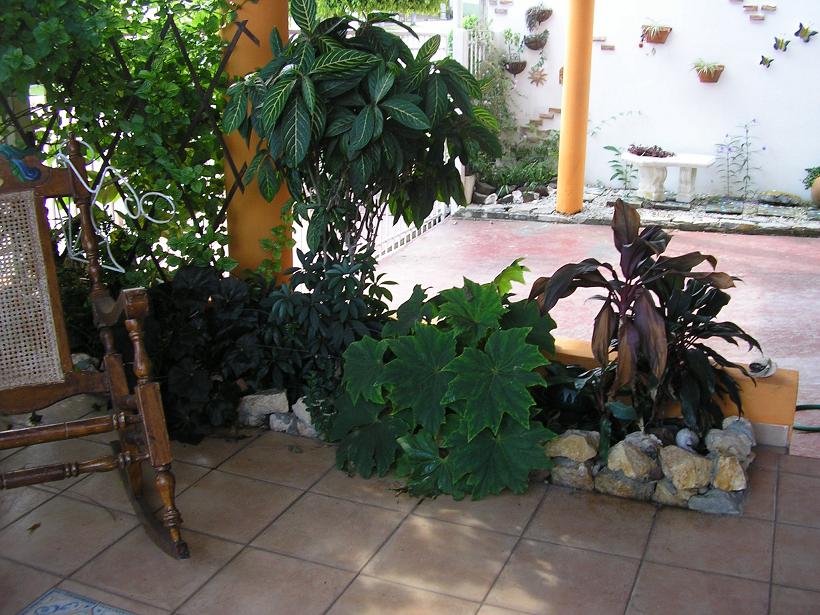 cqs1254285608x.JPG