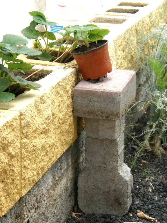 cqs1255476887a.JPG