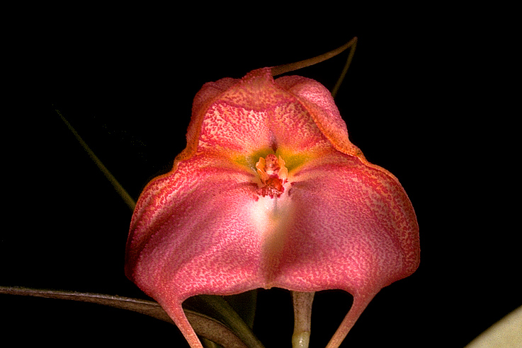 cqs1269494909z.jpg