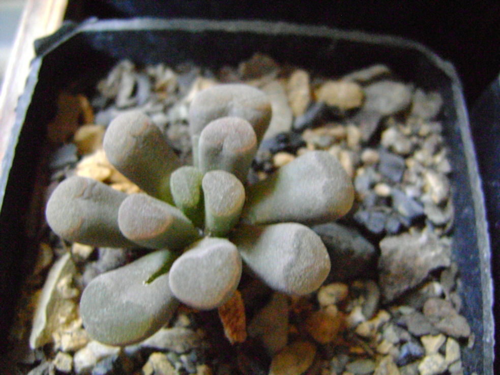 cqs1270341383b.jpg