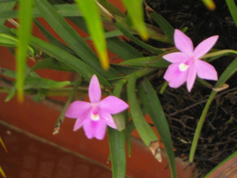 cqs1276240217k.JPG