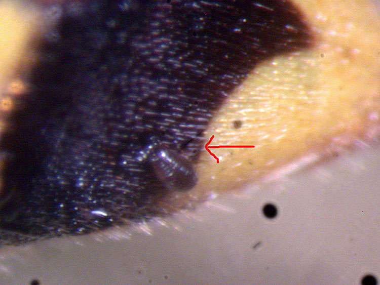 cqs1282864180b.jpg