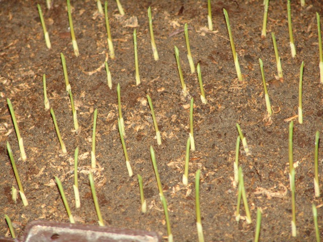 cqs1282891540c.jpg