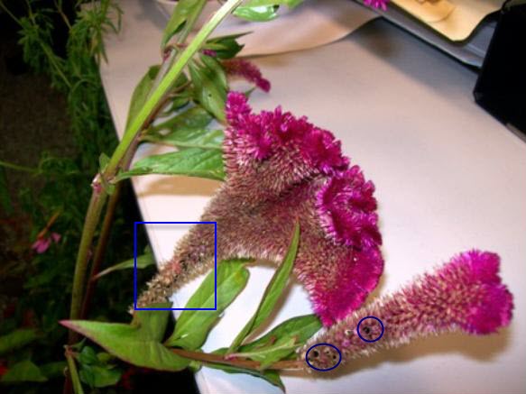 cqs1284620659i.JPG