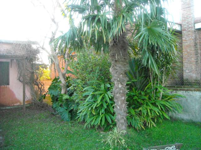 cqs1285029539p.jpg