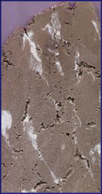 cqs1286753629i.jpg