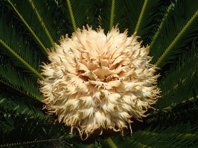 cqs1287429558r.jpg