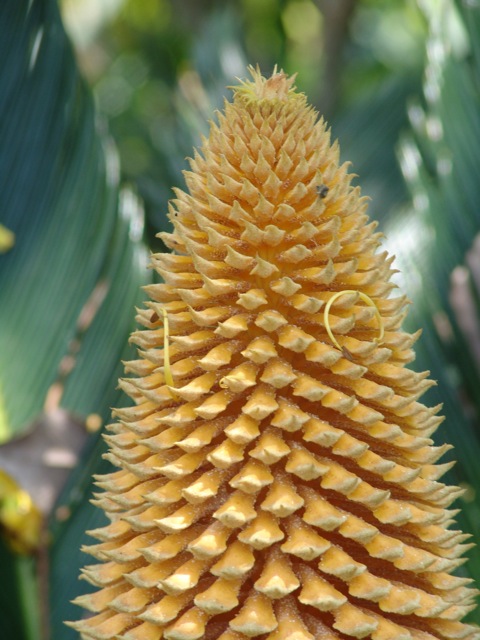 cqs1287434407b.jpg