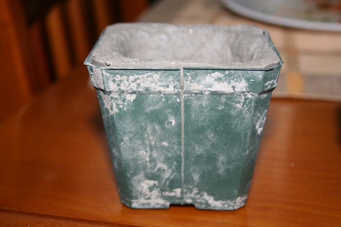 cqs1288448052z.jpg
