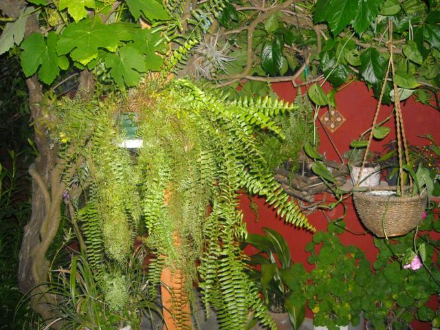 cqs1290003506h.jpg