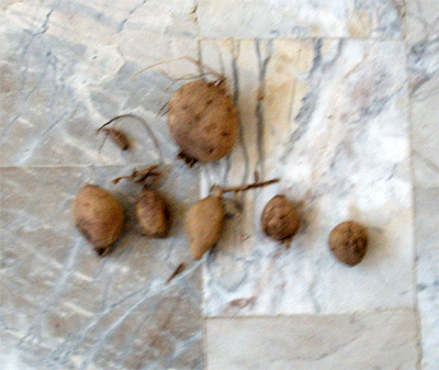 cqs1291413956v.jpg
