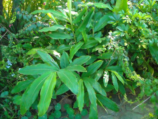 cqs1301517619r.jpg