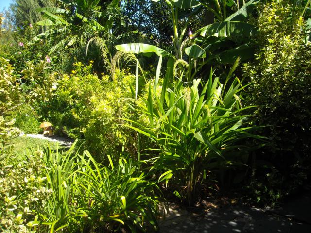 cqs1301517740h.jpg