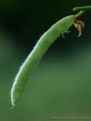 cqs1306112991n.jpg