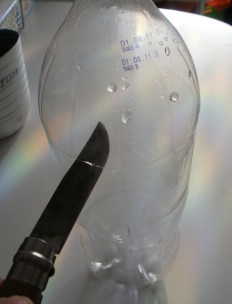 cqs1307634630r.jpg
