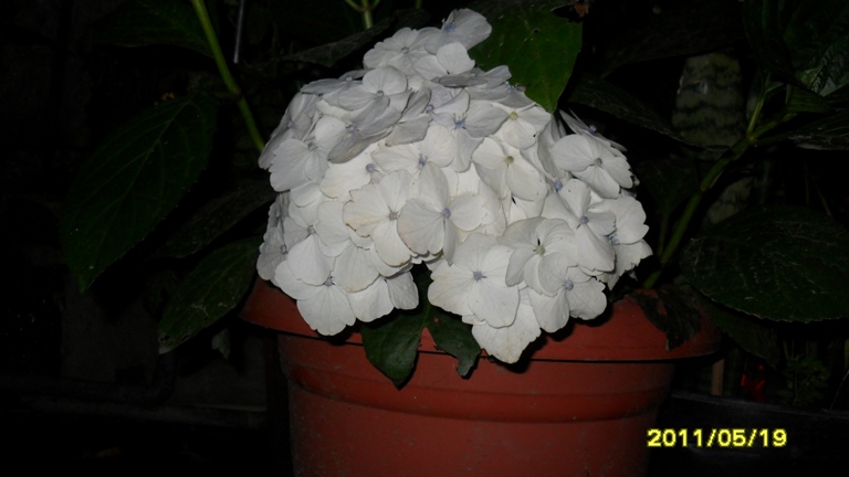 cqs1311898428n.JPG