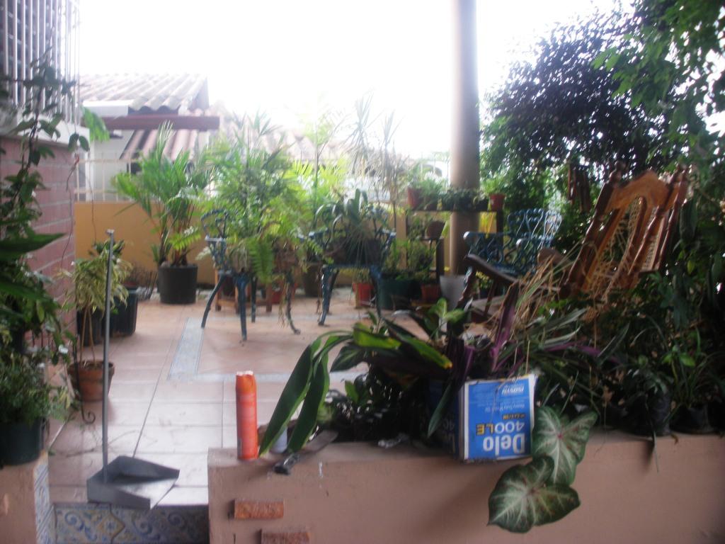 cqs1311927380w.JPG