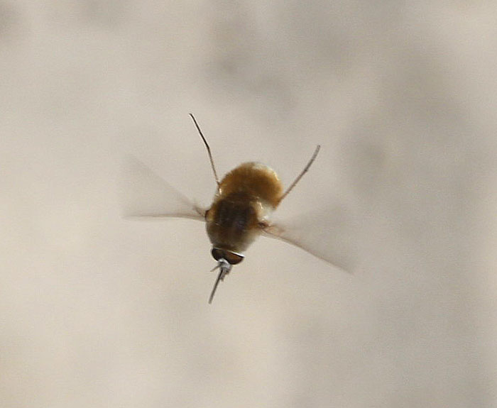 cqs1312039720e.jpg