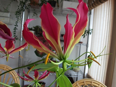 cqs1312042355a.JPG