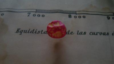 cqs1312303384z.JPG