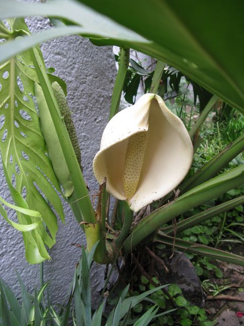 cqs1312424006e.jpg