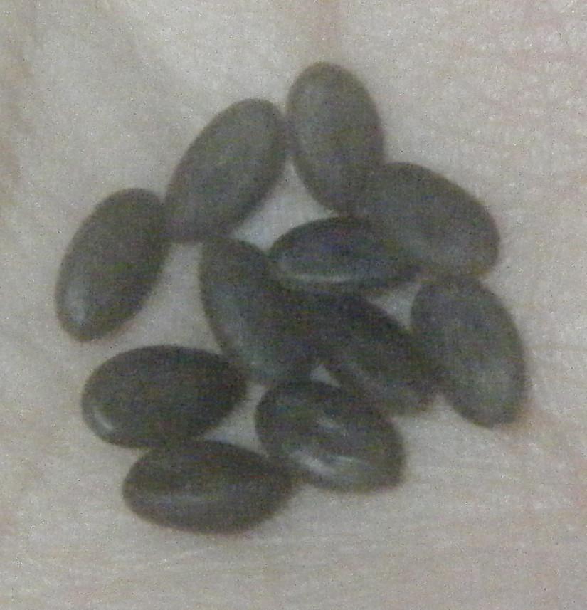 cqs1312488974s.jpg