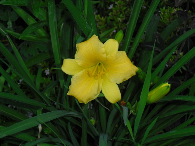 cqs1312508856x.jpg