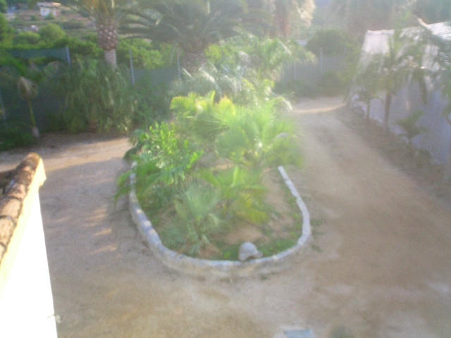 cqs1312552230p.JPG