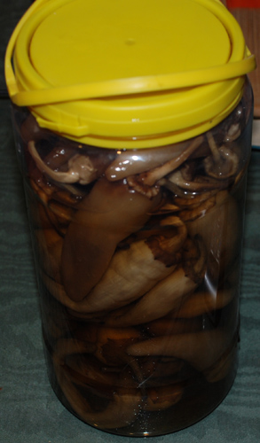cqs1312577842b.JPG