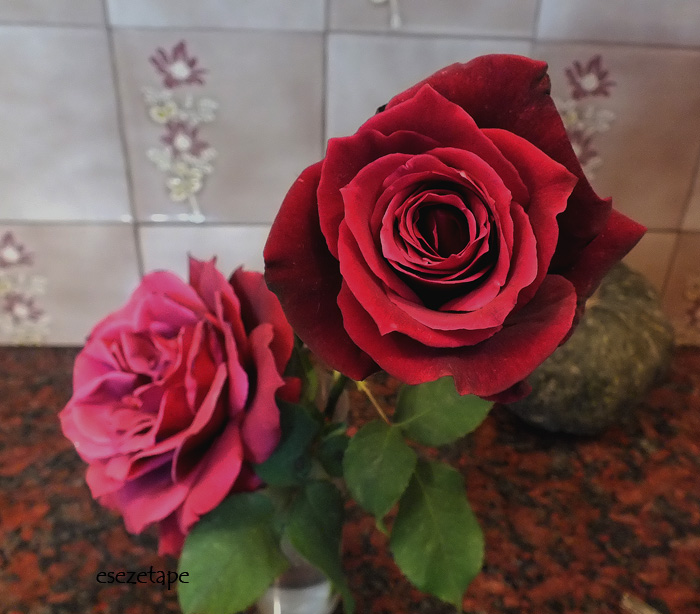cqs1312663756u.jpg